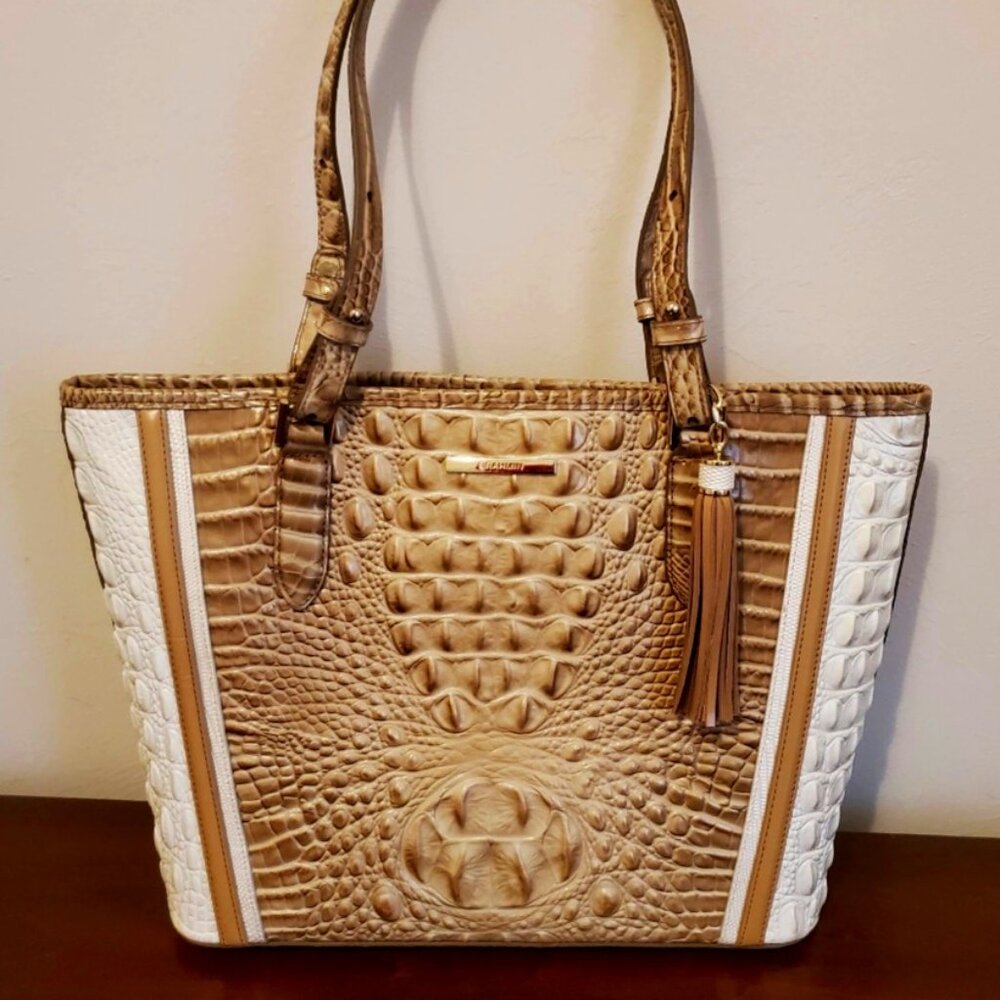 Brahmin Medium Asher